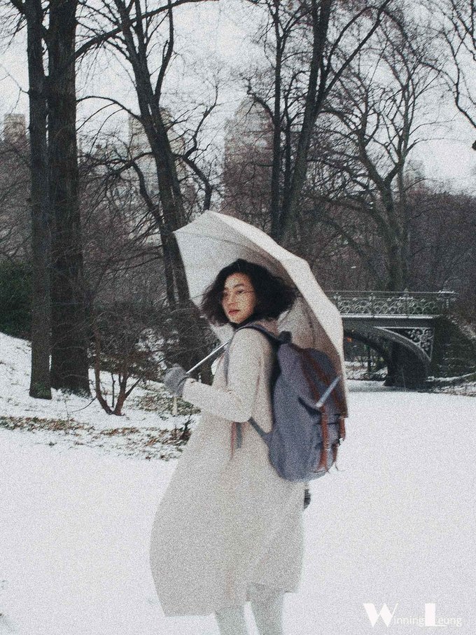 纽约中央公园世界奇迹,纽约中央公园浦东世纪公园