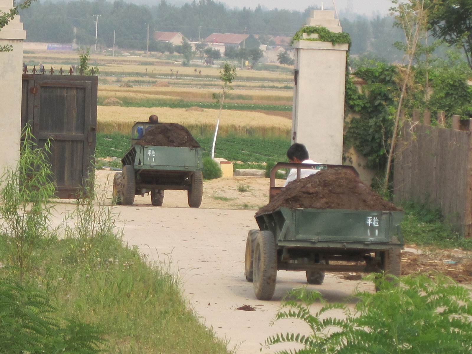 高效生态农业规模化,高效生态农业项目简介