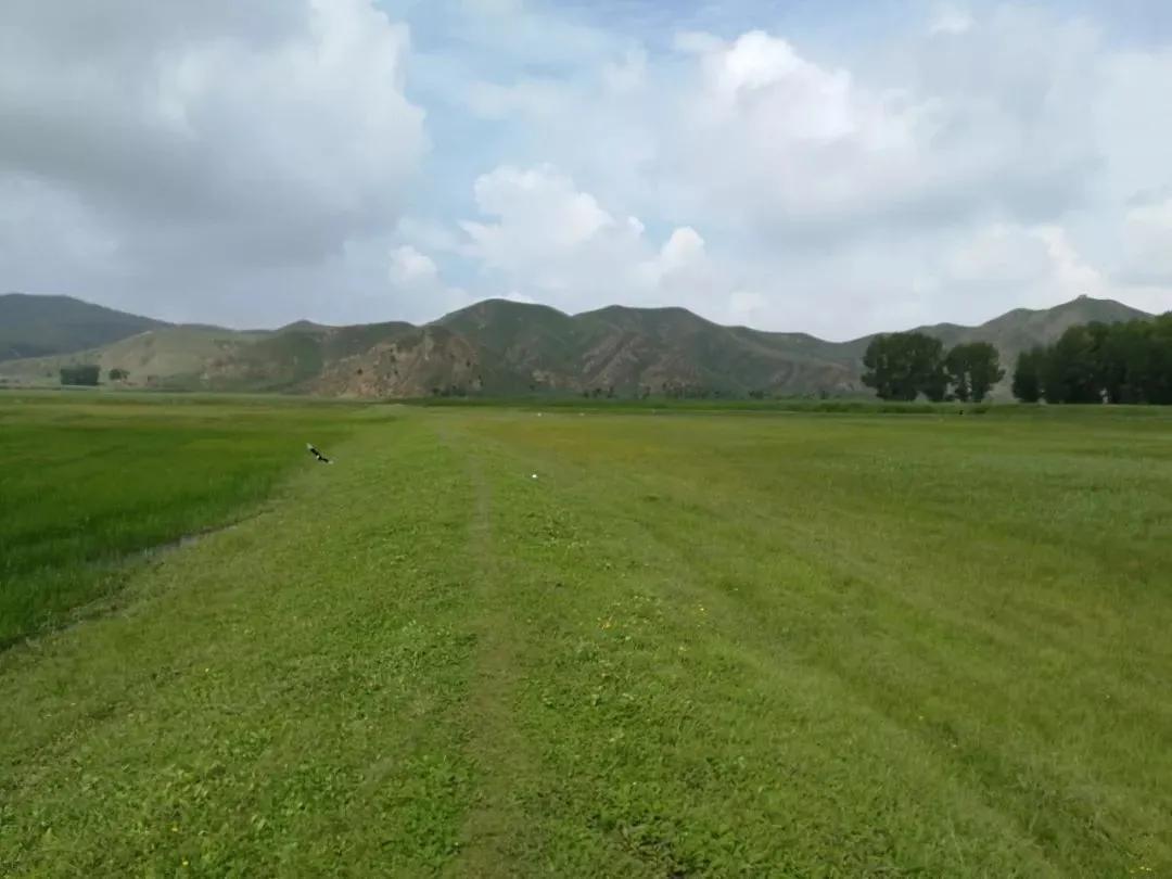 过五一，就来“农味儿十足”黄合少！