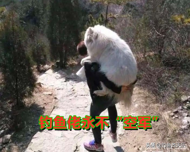 钓到大鱼被鱼咬到隐身部位,男子钓鱼被蛇咬伤