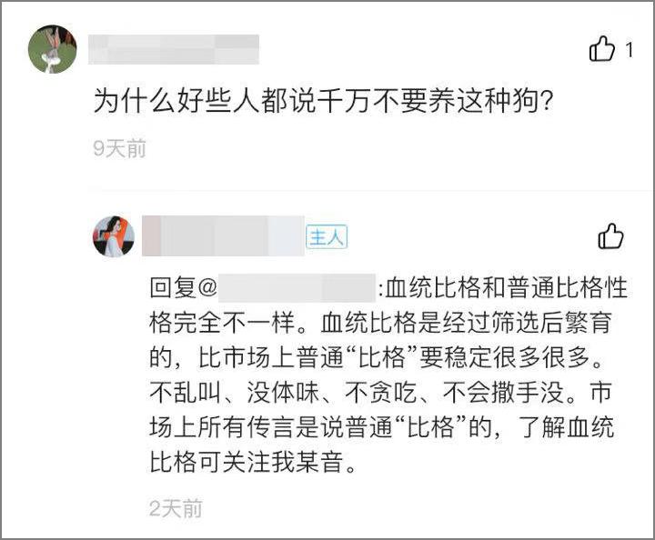 田园猫打疫苗后第二天得了猫瘟,田园猫生病会自愈吗