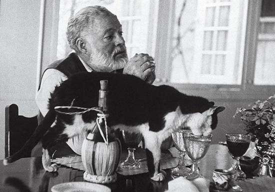 考试必备英语单词,考试必备名著