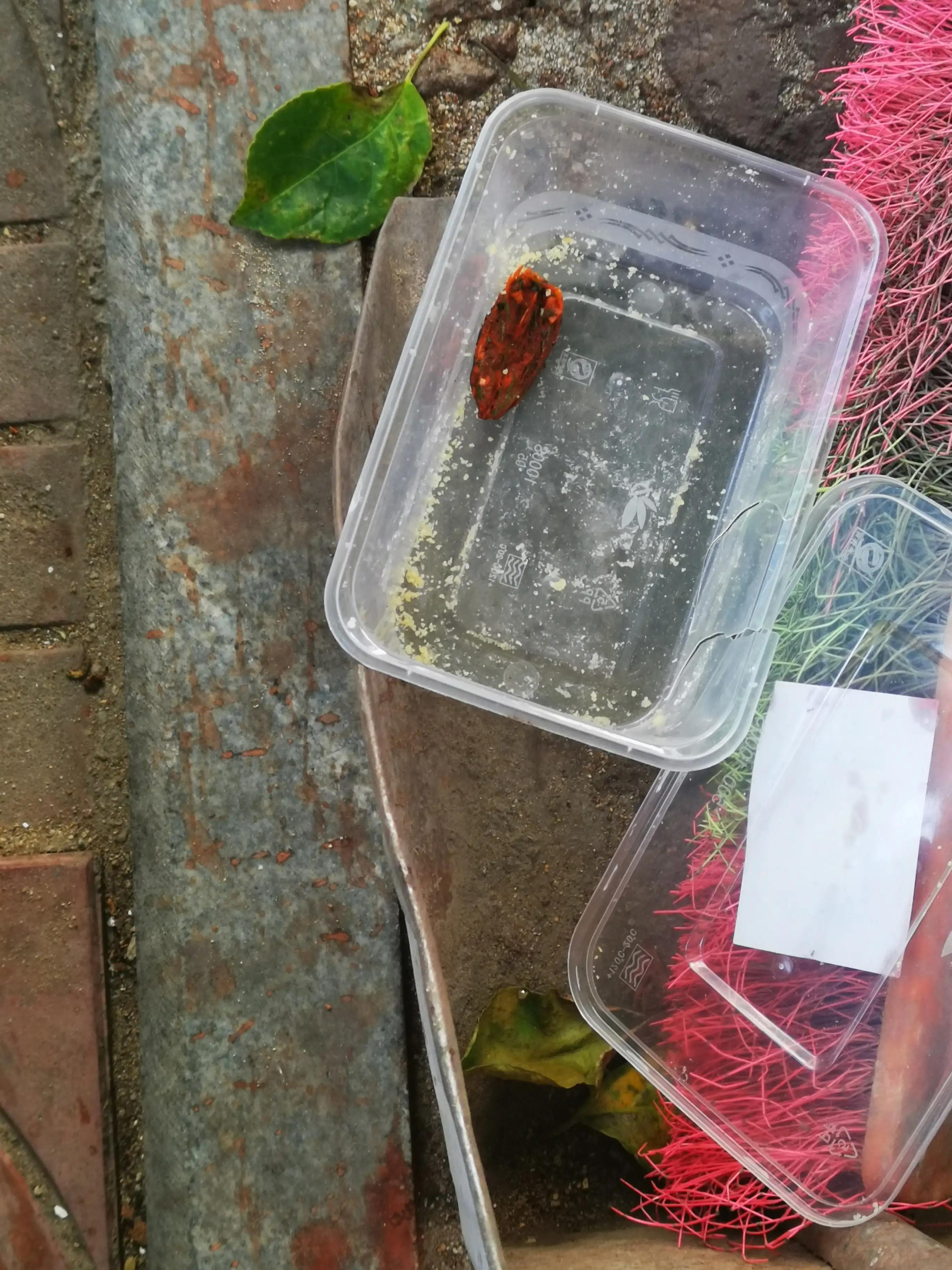 吃槟榔之后怎么恢复,吃槟榔之后口腔能恢复吗