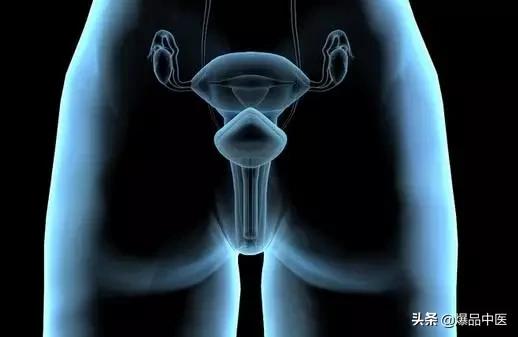 全息望诊大全视频,浅议生物全息律与中医望诊