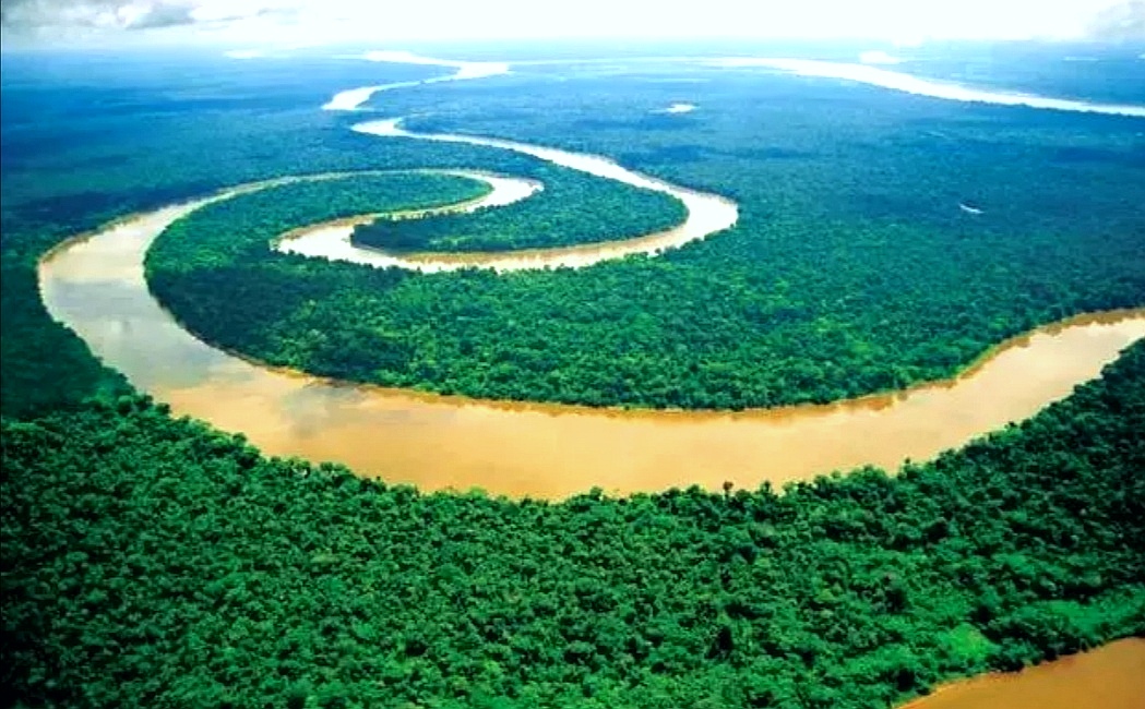 别在亚马逊的河里尿尿，当心魔鬼鱼钻入你的尿道，吸食你的血液