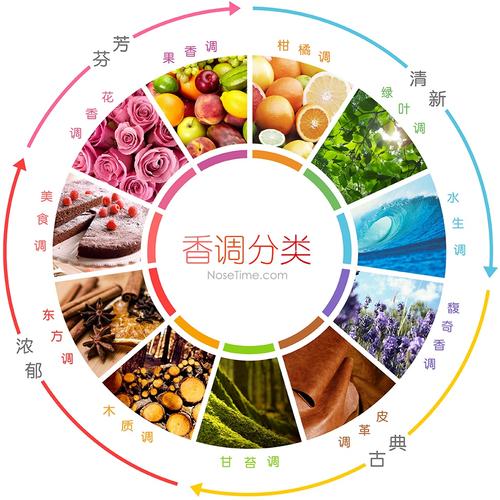 香水零基础入门教程,香水入门指南调香