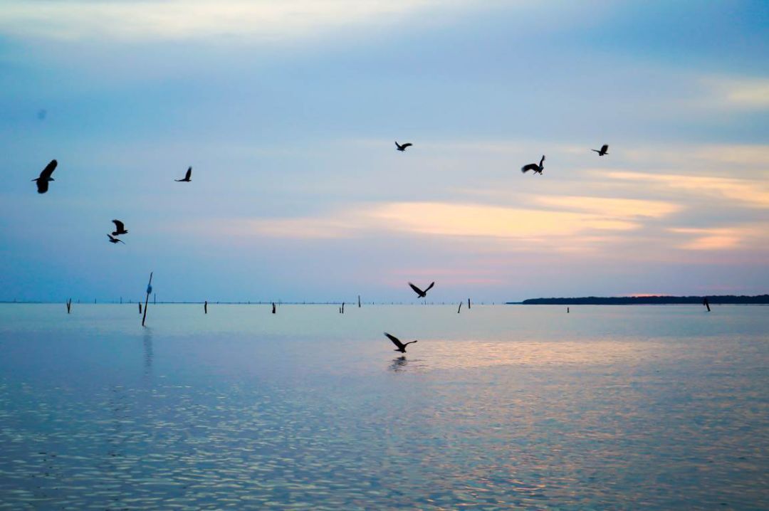 一价全包的邮轮是什么档次的邮轮,49999元邮轮豪华游8天7晚价格