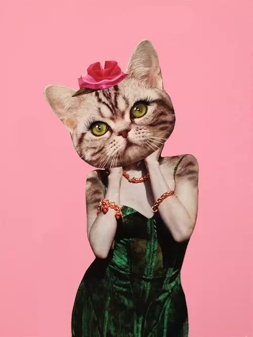 狩猎技巧双人,狩猎技巧你学会几个