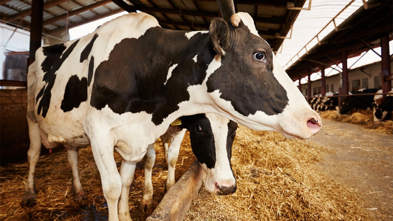 洱海环保政策有哪些,洱海生态廊道禁行