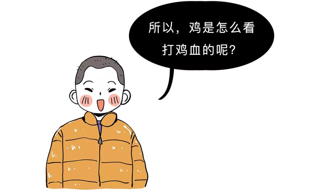 怎么区别鸭血和鸡血的区别,鸡血鸭血有什么区别