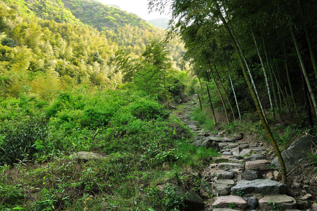 李时珍写本草纲目用了多长时间,李时珍写本草纲目遇到的困难