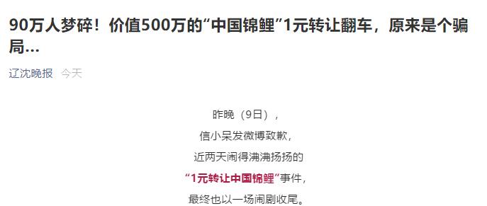 90万人梦碎!可信小呆的锦鲤一生,真那么痛快吗?
