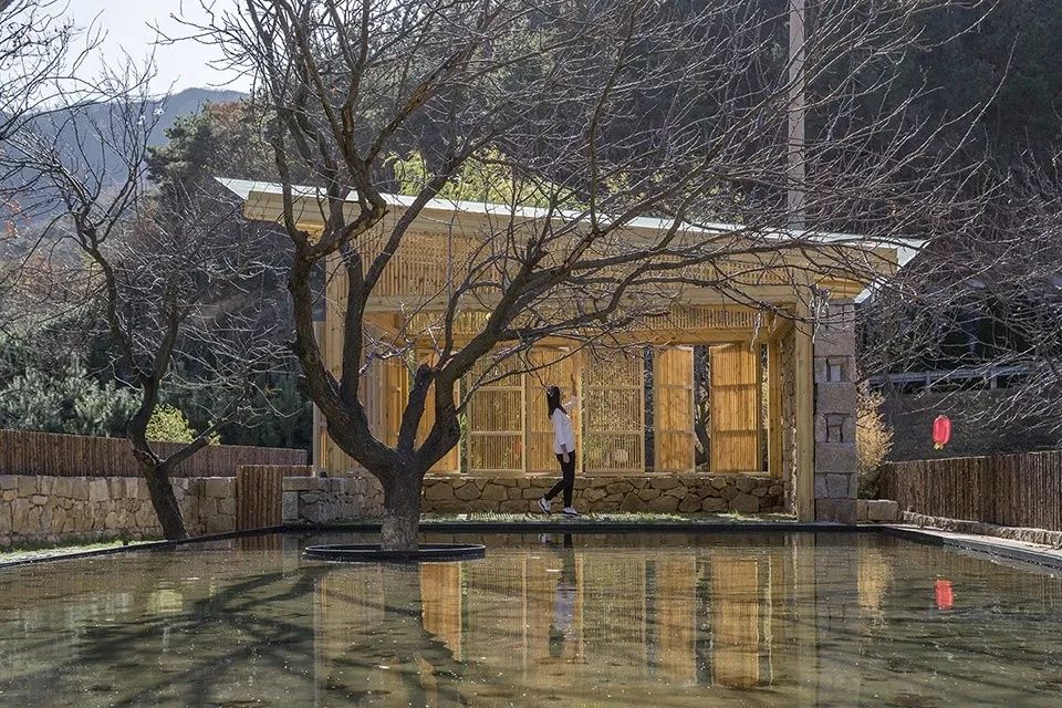 「案例」百年小村庄怎样打造成网红民宿村