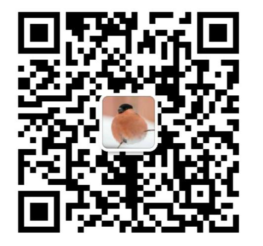 芝加哥飞机最新消息,芝加哥直飞航班