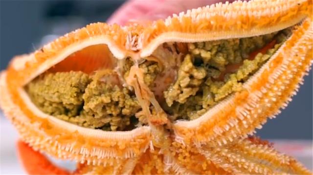 海星的正确吃法,海星食用禁忌什么