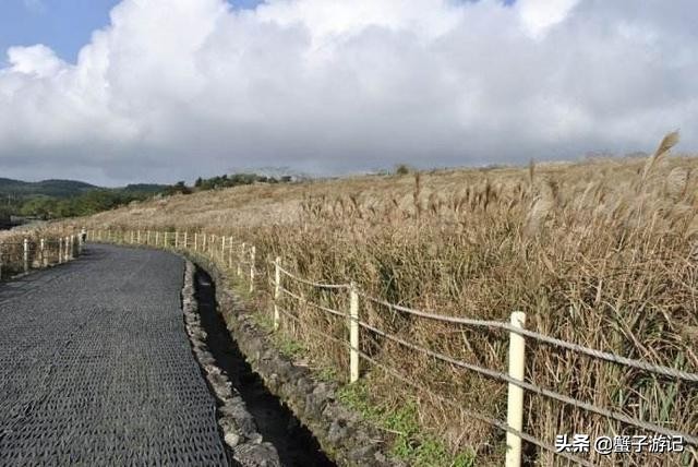 济州岛五天四晚超详细攻略，纯干货呦