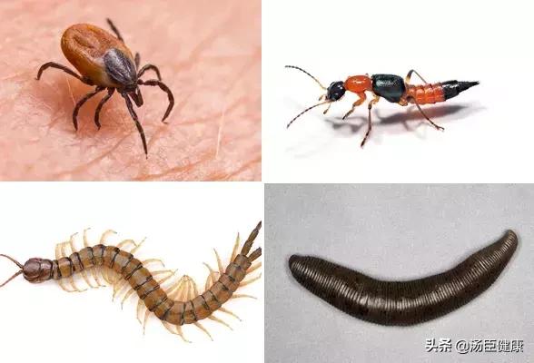 胶水不慎溅到眼睛怎么办,胶水弄到眼睛感染了怎么办