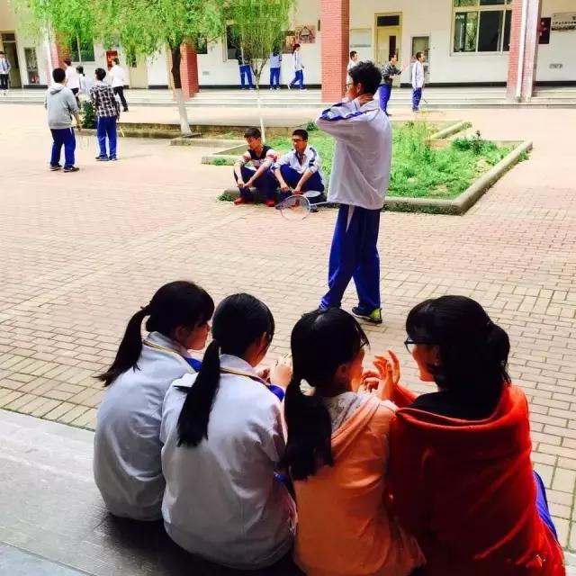 山师附中,山师附中历下区