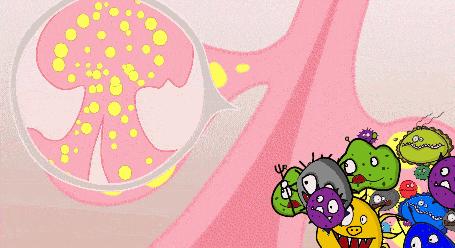 毛孔粗大的原因及改善方法,毛孔粗大的原因和治疗方法