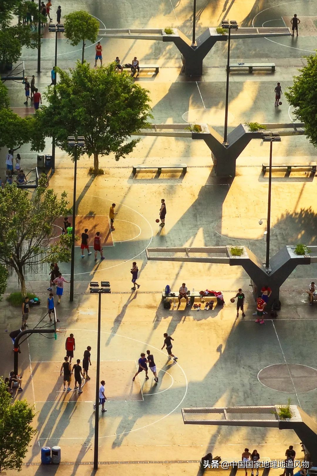 哪个地方的奥运冠军最多,中国哪个县世界冠军最多