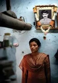 转基因调查纪录片,转基因农作物深度研究报告