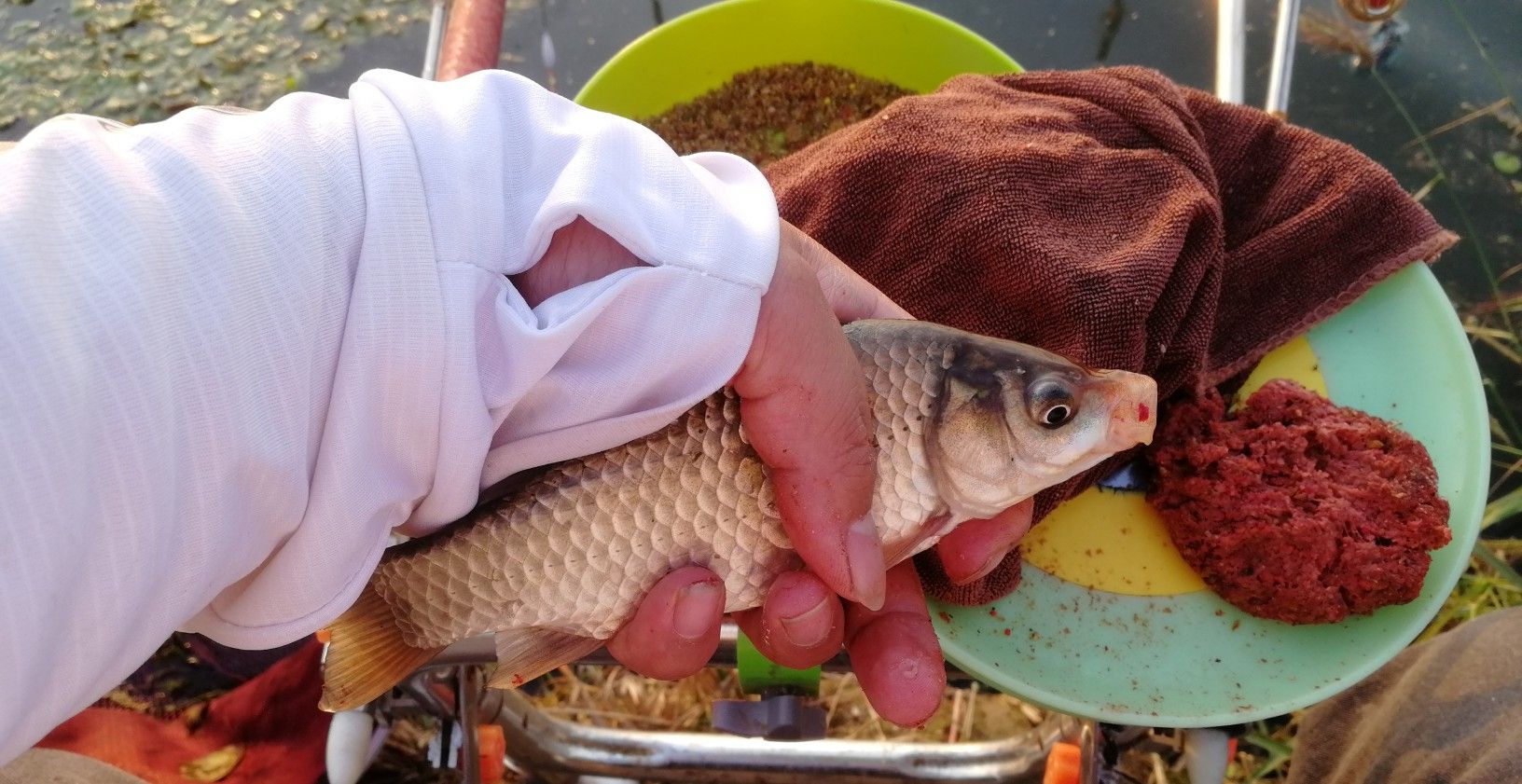 钓浮最简单的调漂方法,鲫鱼钓底还是钓浮怎么调漂