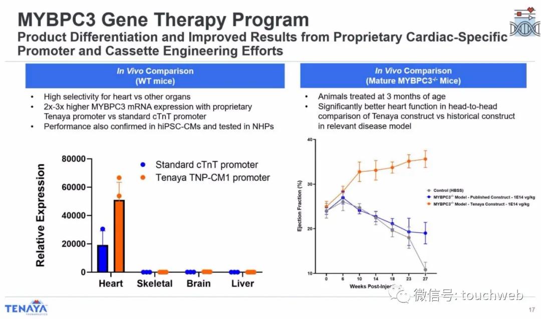 基因疗法相关上市公司,tenaris公司