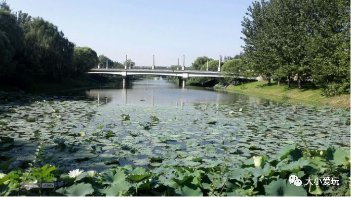 通州副中心哪些地段好,北京通州有山有水遛娃好去处