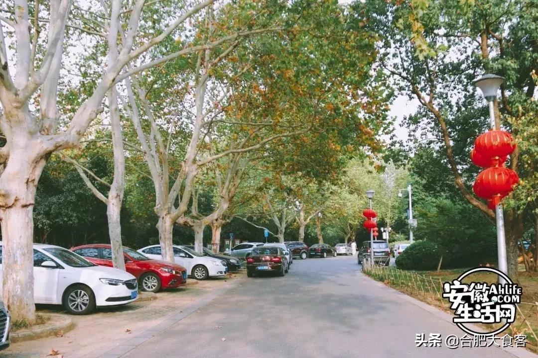 2020年,在这50个地方遇见不一样的合肥