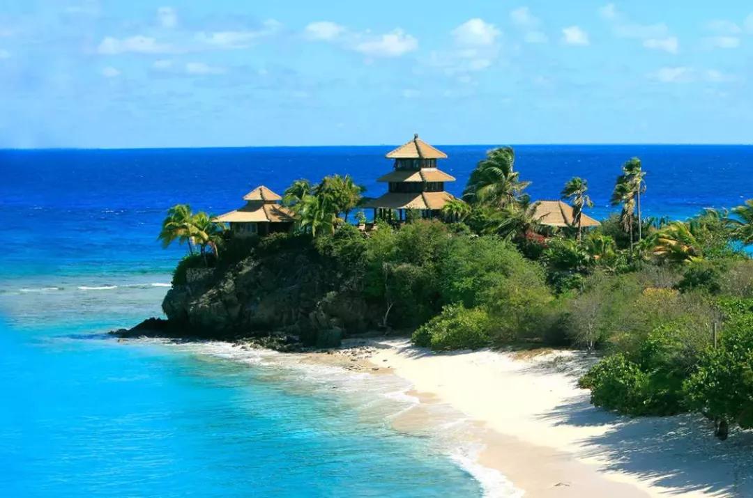 沙爽的活着写作背景,沙爽作品