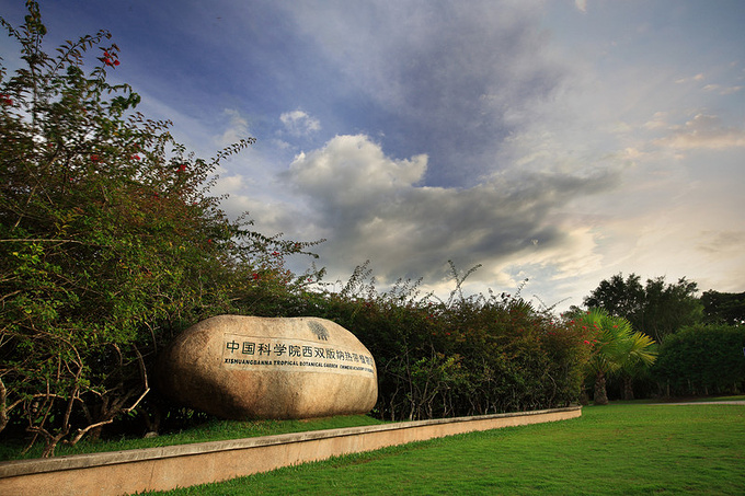 云南中科院院所有哪些,云南中科院简介