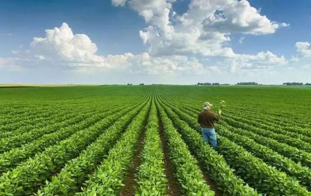 探秘！中国有机农业该如何发力（附国外优秀案例）