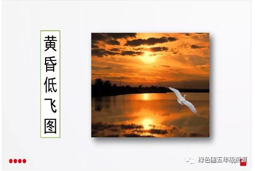 五年级部编版语文白鹭讲课视频,部编小学语文五年级上册白鹭课件