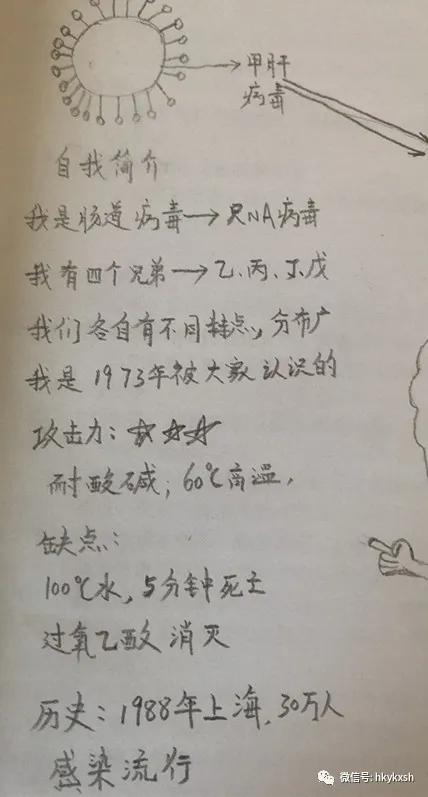 今日科普||甲型肝炎