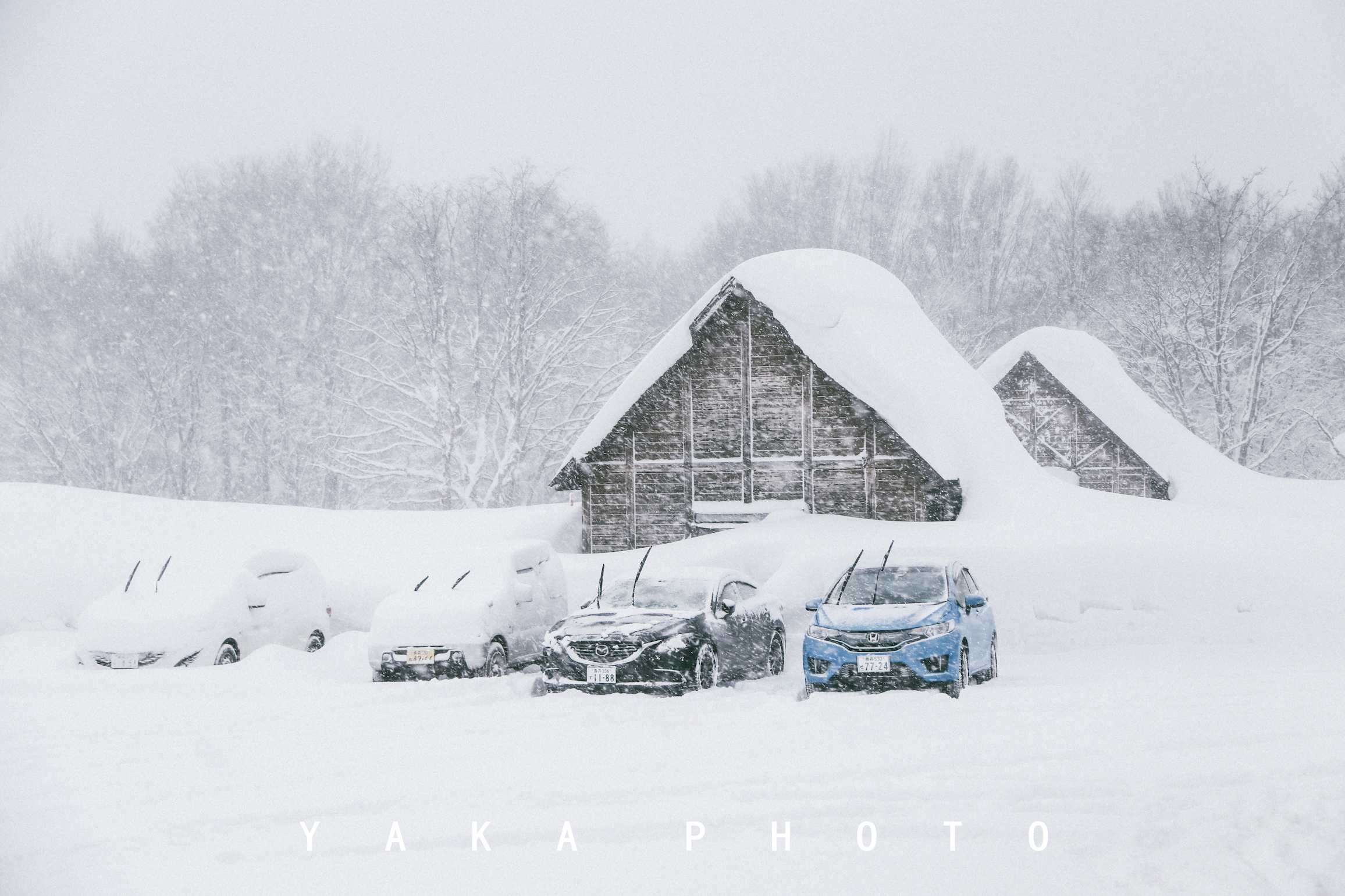 日本青森睡魔祭举办时间,日本的青森值得去么
