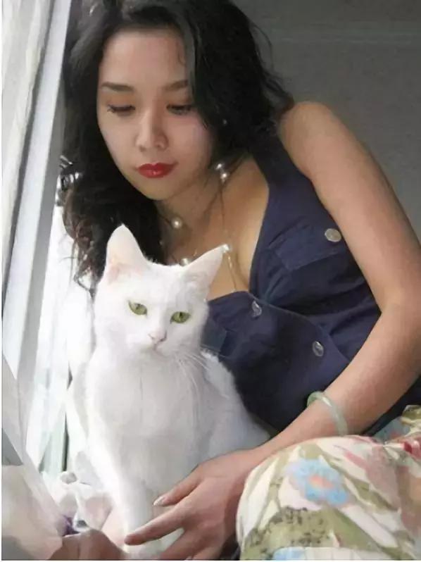 盘点那些年收入过亿的网红,那些曾经爆火的网红现在怎样了