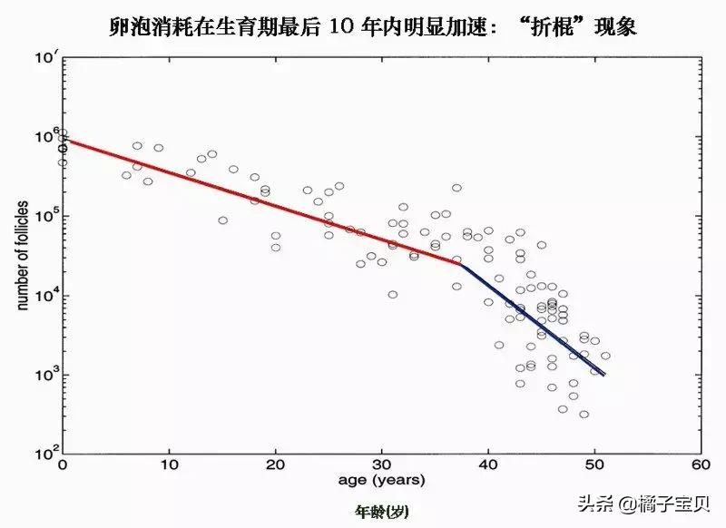 卵巢功能极差怎么备孕,卵巢功能不好备孕小技巧