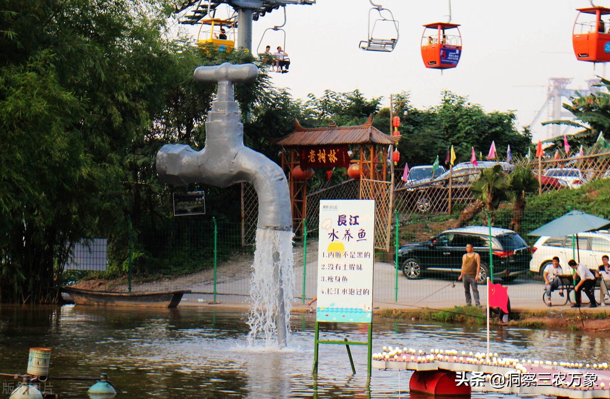 养鱼黄粉怎么用,养鱼的黄粉怎样使用