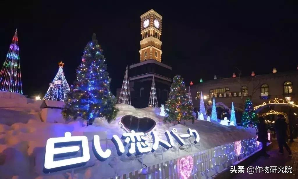 日式网红薄饼干,日本饼干伴手礼