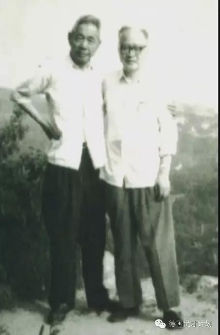 这次损失巨大！背后真相让人痛心不已..........