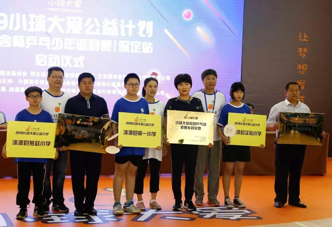 王楠小球大爱,王楠小球大爱公益