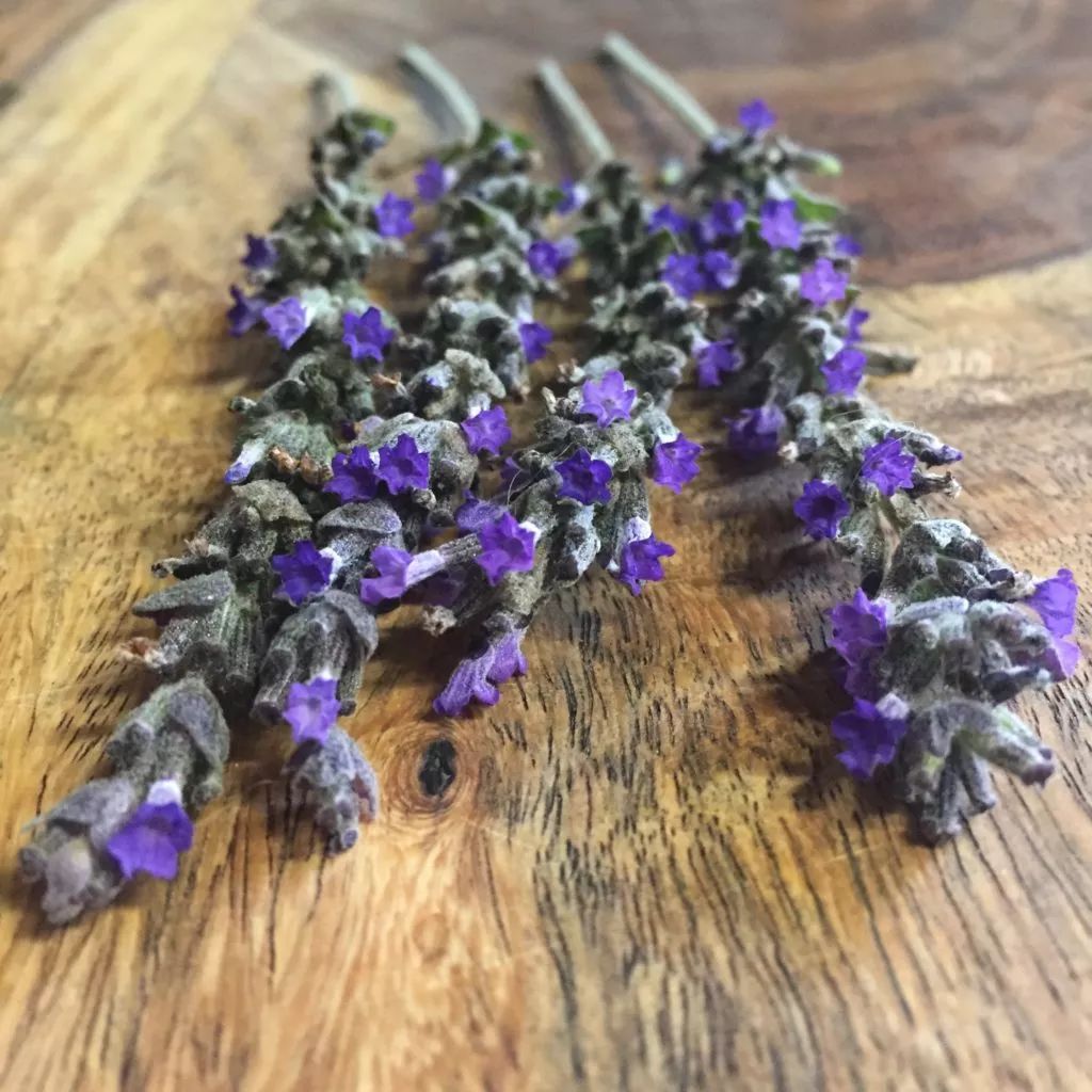 将薰衣草的花朵制作成干花，保存数年都还有香味