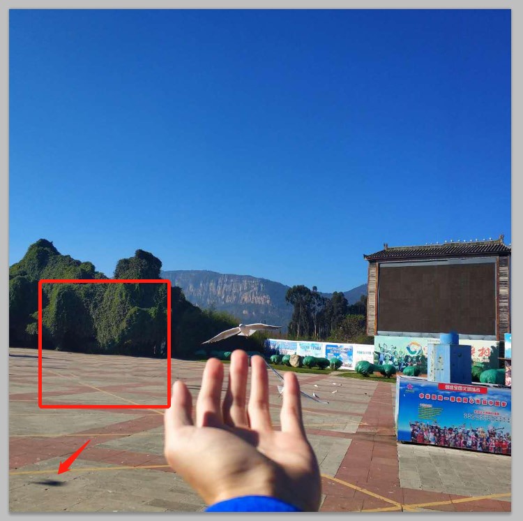 ps零基础去水印半透明水印,教你几种PS去水印小技巧