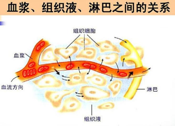 膝关节松解手术后肿是正常的吗,膝关节术后肿胀怎么消