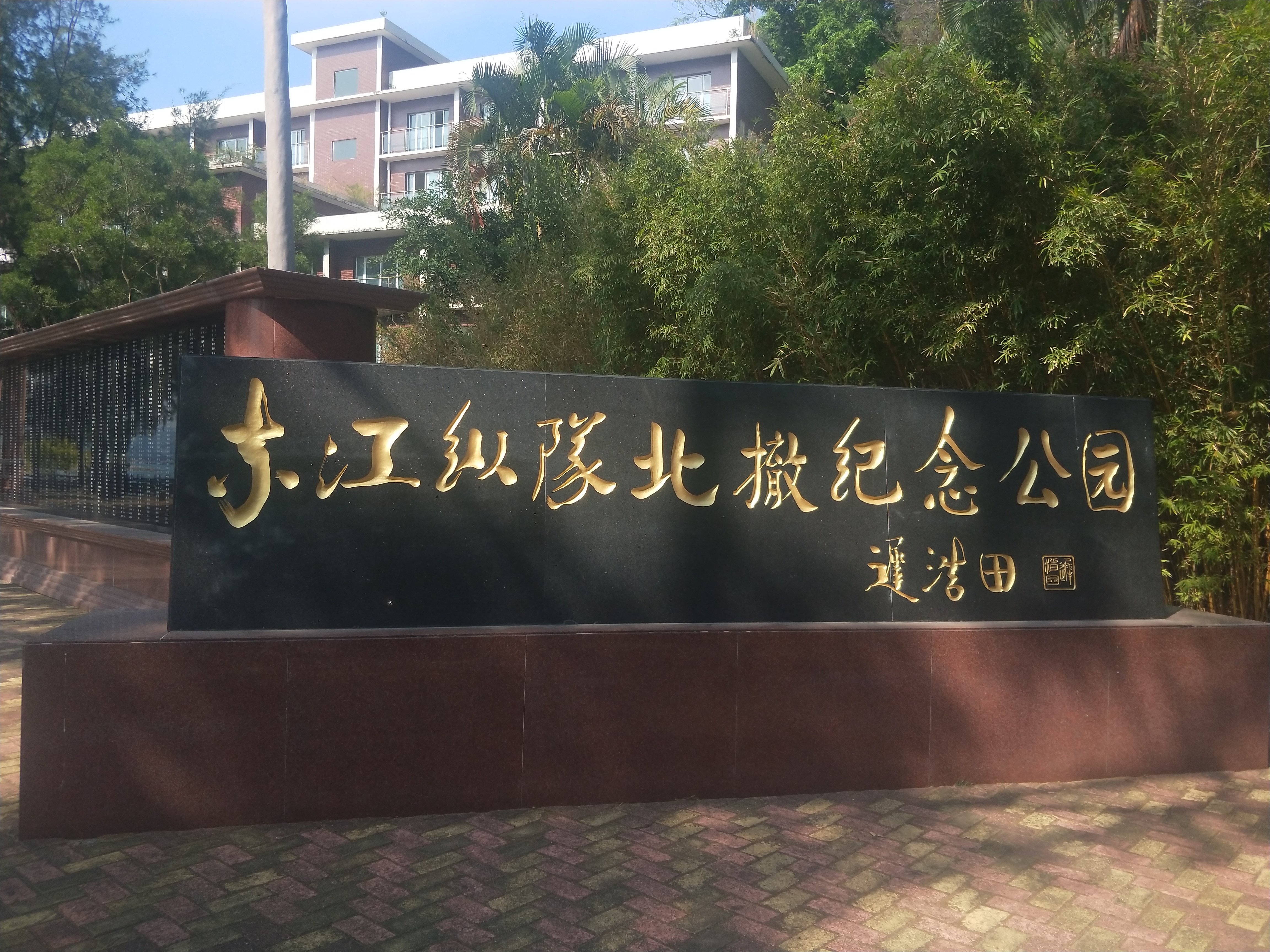 时代湾区丨沙鱼涌的前世今生