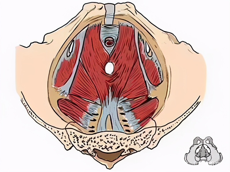 产后妈妈如何找回自信,产后修复好的月经来得快吗