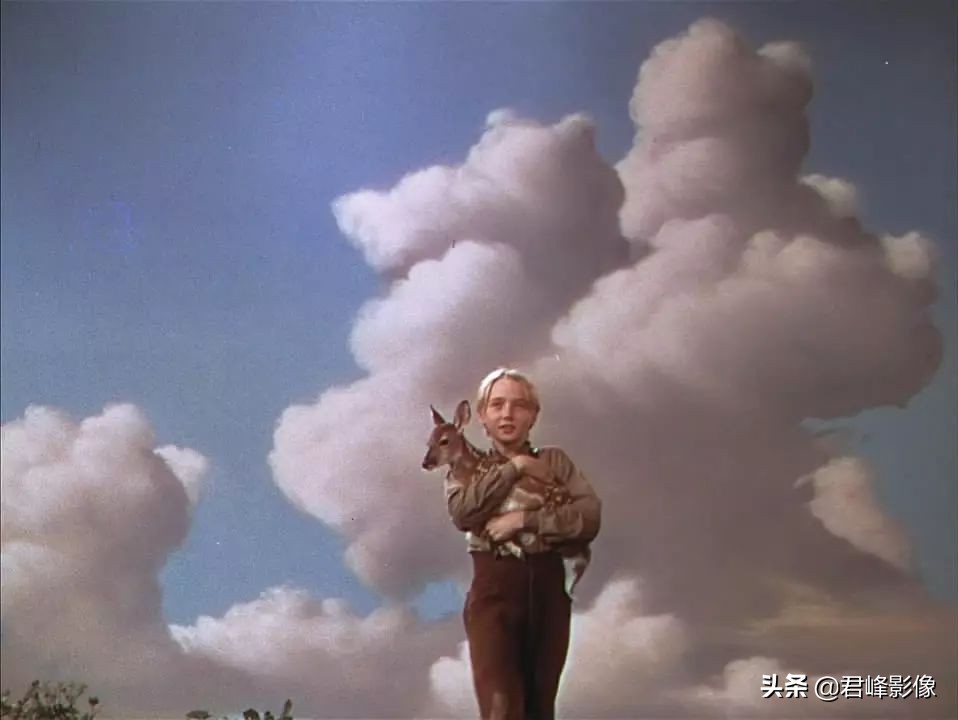 奥斯卡最佳摄影和最佳影片区别,2022奥斯卡最佳摄影影片