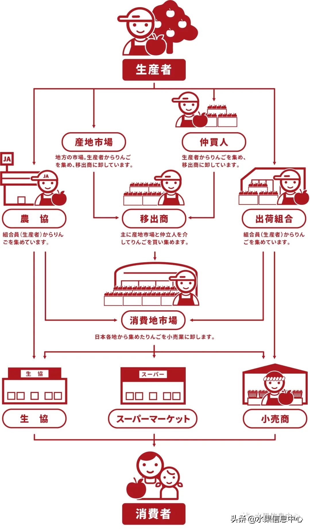 为什么日本苹果质量比中国的好,日本青森苹果种植