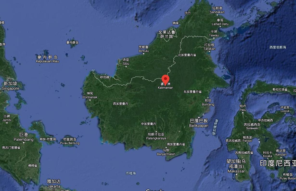 进化论错了,进化论图片被删了