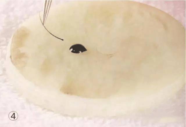 嫁接睫毛技术进行中,m型嫁接睫毛教程零基础手法